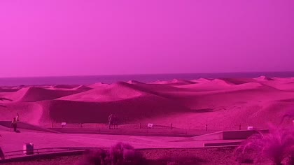 2025-08-07