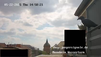 2025-05-23