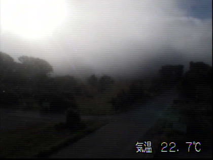 2025-08-01