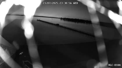 2025-07-24