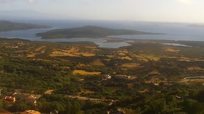 2026-06-07