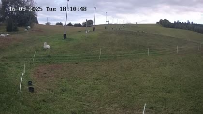 2025-09-16