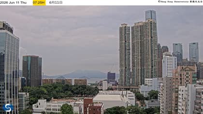 2026-06-11