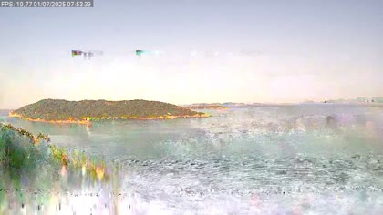 2025-07-01