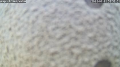 2025-07-11