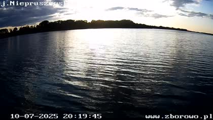 2025-07-10