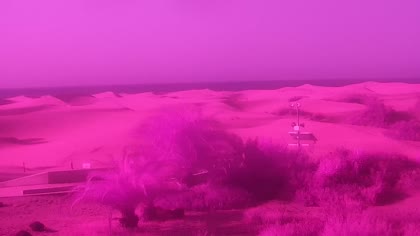 2026-08-13