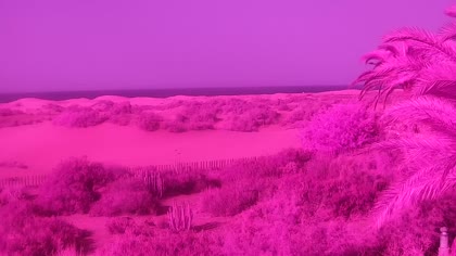 2026-08-05