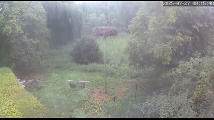 2025-07-27
