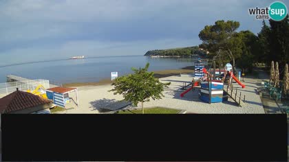 2026-05-19
