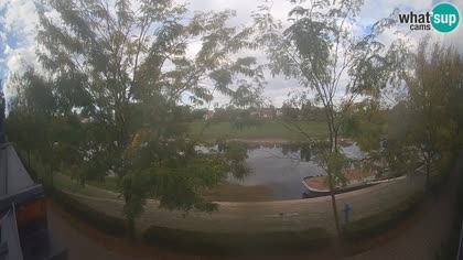 2026-09-22
