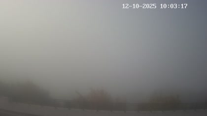 2025-10-12