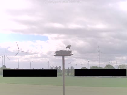2025-05-04
