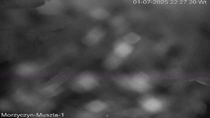 2025-07-01