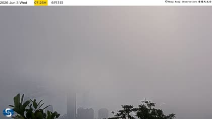 2026-06-03