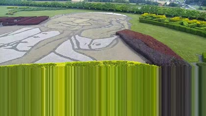 2025-07-31