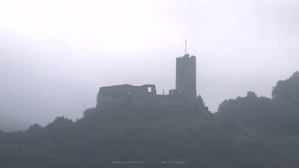 2025-07-26