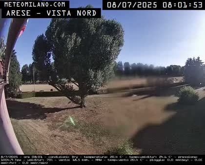 2025-07-08
