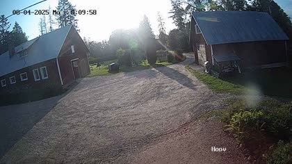 2025-08-06
