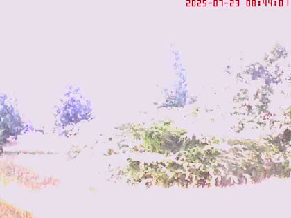 2025-07-23