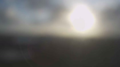 2025-08-05