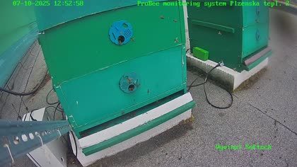 2025-07-11
