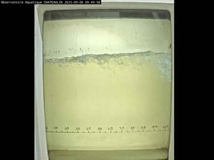 2025-09-06