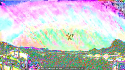 2025-08-02