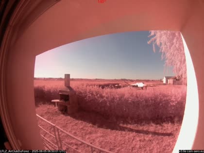 2025-08-05