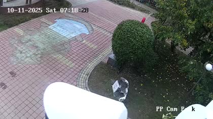 2025-10-11