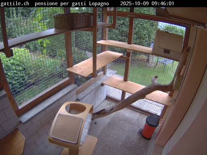 2025-10-09