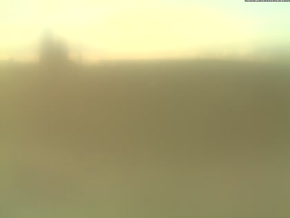 2025-09-29