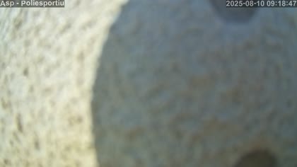 2025-08-10
