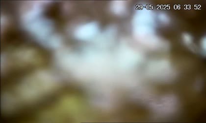 2025-05-29
