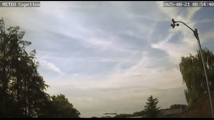 2025-08-21