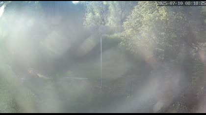 2025-07-10