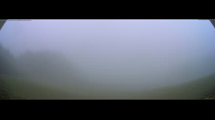 2025-07-27