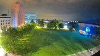 2025-06-06