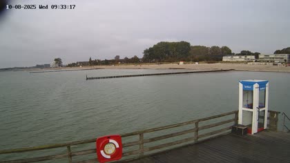 2025-10-08