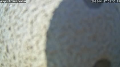 2025-04-27