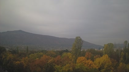 2026-10-11