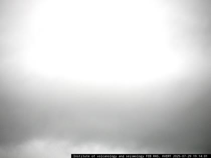 2025-07-29
