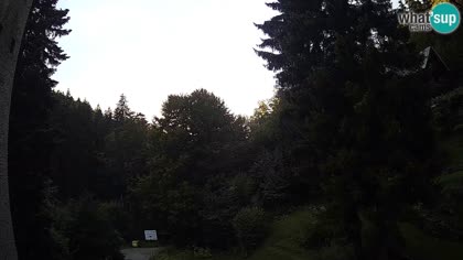 2025-09-14