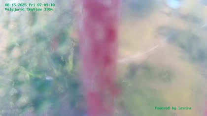 2025-08-15