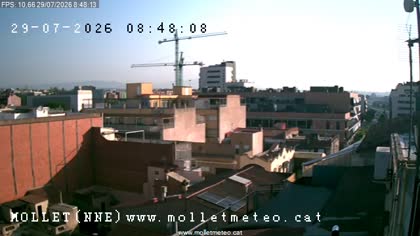 2026-07-29