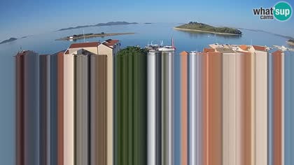 2026-07-29