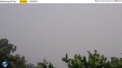 2026-08-20