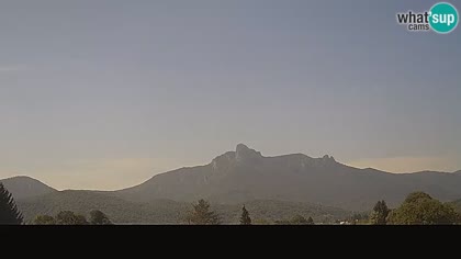 2025-09-08
