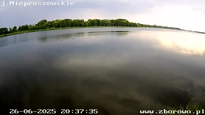 2025-06-26