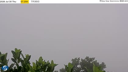 2026-07-30
